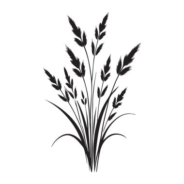 Bir demet çimenin siluet vektör çizimi, doğal ve organik tasarım elementleri veya dekorasyonlar yaratmak için birebirdir. Bu tasarım tüm projelerinize güzellik katar..