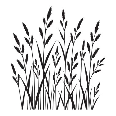 Uzun otların detaylı siluet vektör çizimi. Tasarım projelerinize ve dekorasyonlarınıza doğal doku ve organik elementler eklemek için mükemmel..