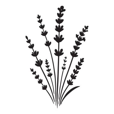 Bu zarif siluet vektör grafiği güzel bir lavanta çiçeği tasarımı içeriyor. Tasarım projelerinize biraz doğa katmak için mükemmel. Davetiyeler, markalaşma veya diğer yaratıcı girişimler için bu resmi kullanın.