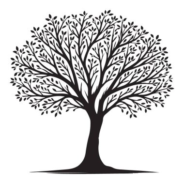 Karmaşık dalları ve yaprakları olan gür bir ağacın ayrıntılı siluet vektör çizimi. Doğa temalı tasarımlar, logolar ve markalar için ideal. Doğal tasarımlar oluştur.