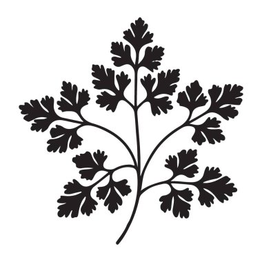Hassas bir maydanoz yaprağı silüet vektör çizimi. Mutfak için mükemmel, yiyecekle ilgili tasarımlar, bitki bahçeleri ya da restoran markaları için. Yüksek çözünürlük vektörü.