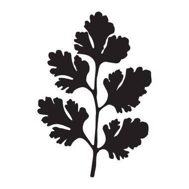 Detaylı kişniş yaprak silueti, yemek pişirme, bahçıvanlık ve sağlıklı beslenmeyle ilgili tasarımlara mükemmel bir ilave. Menüler, logolar ve çizimler için harika..