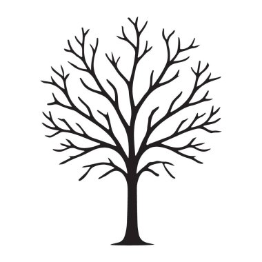 Çıplak ağaç silueti vektör çizimi kışı, doğayı ve ağaç dallarının katıksız güzelliğini gösteriyor. Mevsimlik tasarımlar için mükemmel.