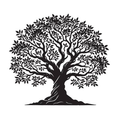 Karmaşık dalları ve yaprakları olan bir yaşam ağacının detaylı vektör çizimi. Büyümeyi, bağlantıyı ve yaşam döngüsünü temsil eden güçlü bir sembol. Çeşitli tasarım projeleri için uygundur.