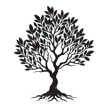 Belirgin kökleri ve seyrek yaprakları olan bir siluet ağacının izole vektör çizimi. Basit ama zarif, projelerinize biraz doğa katmak için mükemmel. Çok yönlü kullanım için şeffaf arkaplan.