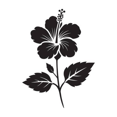 Çiçek açan bir çiçeğin siluet vektörü. Grafik tasarım elementleri, desenler yaratmak ve botanik bir dokunuş eklemek için ideal. Bu illüstrasyonu herhangi bir proje için kullanmak kolaydır.