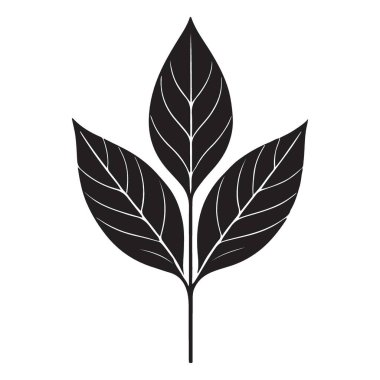 Üç yapraklı bir dalın ayrıntılı vektör çizimi. Doğa temalı tasarımlar, logolar ve botanik çizimler için mükemmel. Temiz, siyah siluet tarzı onu herhangi bir proje için çok yönlü kılar.