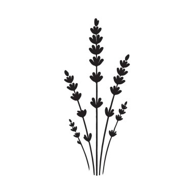 Lavanta dallarının zarif siyah bir çizimi aromaterapi, rahatlama, bitkisel tedaviler ve doğal güzellik ürünleri ile ilgili tasarımlar için mükemmeldir..