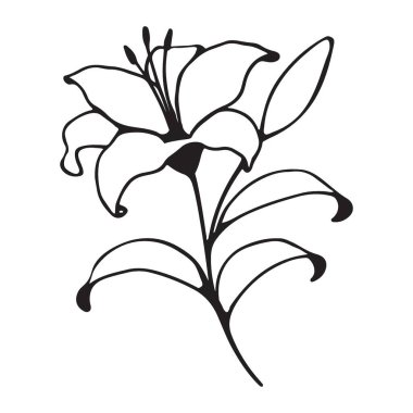 Nilüfer çiçeğinin temiz ve minimalist bir tasviri. Renklendirme sayfaları, minimalist tasarımlar ya da daha karmaşık sanat eserleri için temel olarak idealdir..