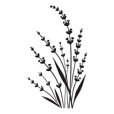Bu lavanta silueti çizimi lavanta filizi içeriyor. Tasarımlarınıza doğanın bir dokunuşunu eklemek için mükemmel. Tasarım ve tasarım işleri için ideal. Vektör sanatı.