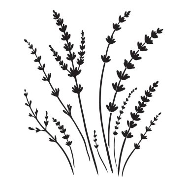 Bu dekoratif lavanta filizi silueti çizimi grafik projeler için idealdir. Tasarımlarına biraz zarafet ve doğa ekle..