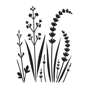Yaban çiçeklerinin vektör silueti tasarıma bir dokunuş eklemek, çiçek elementlerini temsil etmek ya da narin güzellikleri resmetmek için mükemmeldir..