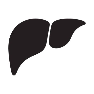 Bir insan karaciğerinin vektör çizimi, bir iç organ. Tıp, eğitim ve anatomik çizimler için harika. Bu bir siluet..