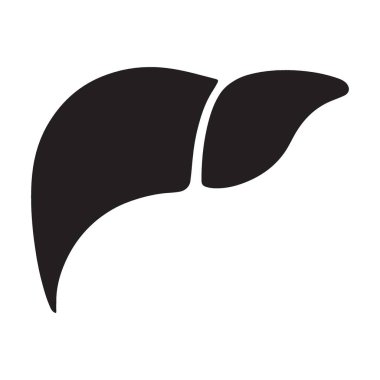 Bir insan karaciğerinin vektör çizimi. Bu görüntü tıbbi malzemeler ve eğitim amaçlı kullanılmak için mükemmeldir. Bu resim şeffaf.