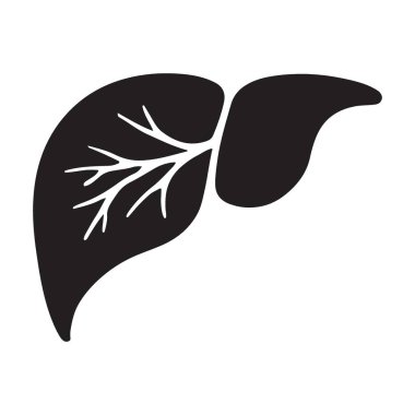 Bir insan karaciğerinin ayrıntılı bir silüet vektör çizimi. İç organlar, anatomi ve sindirim sistemleri ile ilgili sağlık, tıbbi ve eğitim projeleri için ideal.