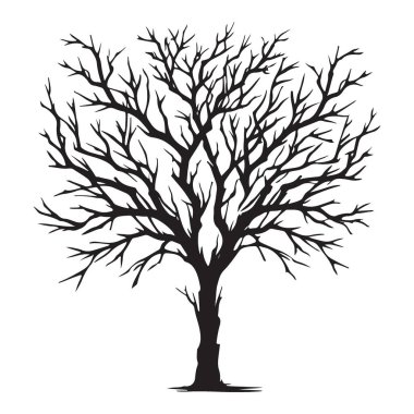 Yaprakları olmayan çıplak bir ağacın siluet vektör çizimi. Bunu sonbahar ve kış temalı projelerinizde sanatsal bir his için kullanın..