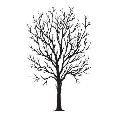 Bir ağacın ayrıntılı siluet vektör çizimi. Tasarım projelerinize biraz doğa katmak için ideal. Çok basit bir illüstrasyon ve kullanımı kolay.