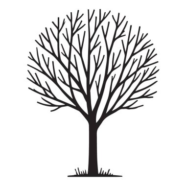 Küçük çimenleri olan çıplak bir ağacın silüet vektör çizimi. Doğadan esinlenilmiş projeler için idealdir, sanat eserleri yaratmak ve tasarımınıza doğal unsurlar eklemek..