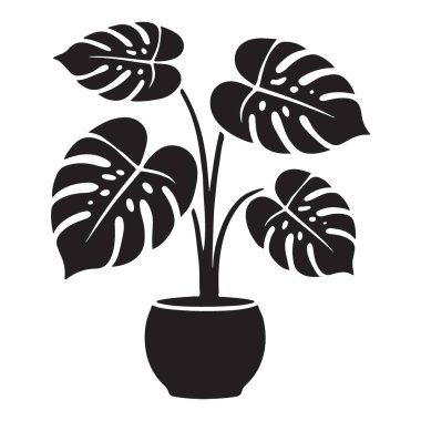 Bu tropikal canavar bitki siluetine biraz doğa katın. Bu vektör çizimi modern ev dekorasyonu için mükemmeldir.