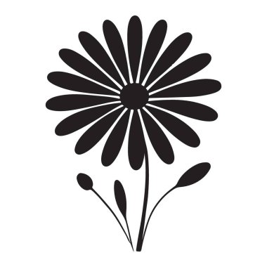 Yaprakları ve tomurcukları olan bir papatya çiçeğinin zarif bir siluet vektör çizimi. Botanik tasarımlar, tebrik kartları ve düğün davetiyeleri için mükemmel..