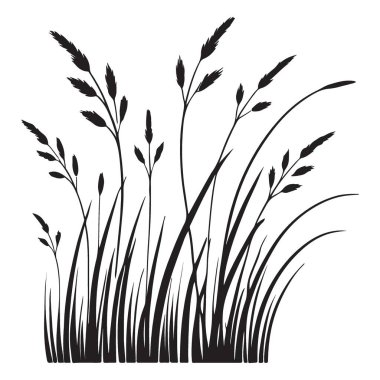 Çimlerin ayrıntılı vektör çizimi. Bahçe tasarımlarına doğal bir dokunuş, peyzaj projeleri ve doğa temalı sanat eserleri eklemek için mükemmel. Bu siluet otların güzelliğini yakalıyor..
