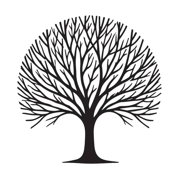 Çıplak bir ağacın siluet vektör çizimi, karmaşık dallarını gösteriyor. Kış temalı tasarımlar, doğadan esinlenilmiş projeler ve sakin bir atmosfer yaratmak için ideal..