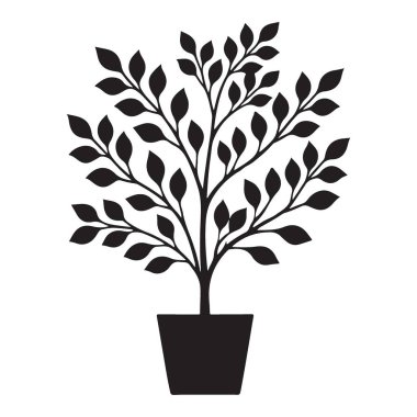 Evinize doğanın dokunuşunu da ekleyin. Bir saksı bitkisinin bu şık silüeti ile. Her oda için mükemmel, bu tasarım sükunet ve güzellik hissi getiriyor..