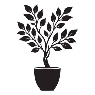 Demlikteki dekoratif ağacın siyah silüeti. Sanat eseri, logo ya da tasarım elementi olarak ideal. Çeşitli projeler için temiz ve zarif bir vektör resmi.