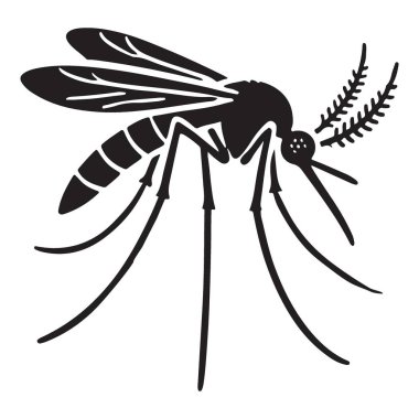 Bir sivrisineğin detaylı vektör çizimi, eğitim materyalleri ya da haşere kontrol tasarımları için mükemmel. Böceğin anatomisinin karmaşık özellikleri.