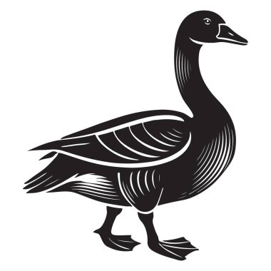 Yaratıcı projeleriniz için bu zarif yürüyen kaz çizimini indirin. Bu yüksek kaliteli grafik detaylı bir kaz tasarımı içeriyor ve çeşitli uygulamalar için mükemmel..