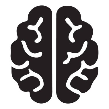 İnsan beyni anatomisi. Bilimsel çalışmalar ve zeka.