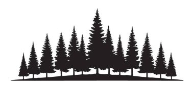 Çam Ağaçlarının Silueti Doğa Tasarımları için Vektör Grafiği
