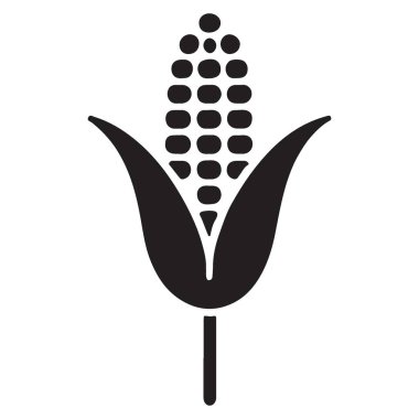Cob Vector Grafik Tarlası Taze Gıdasında Siluet Mısırı