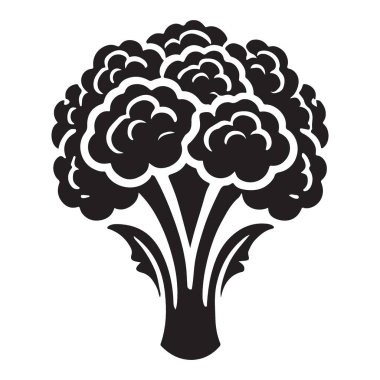 Brokoli İllüstrasyonu Taze Sebze Silueti Sağlıklı Gıda Faydası kavramı