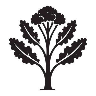 Taze Collard Yeşillikleri Siluet Vektör İllüstrasyonu Sağlıklı Yemek Tasarımı