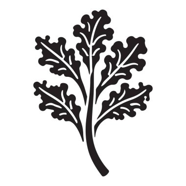 Meşe Yaprağı Silueti Vektör İllüstrasyon Sanat Tasarım Elementleri İzole Edildi