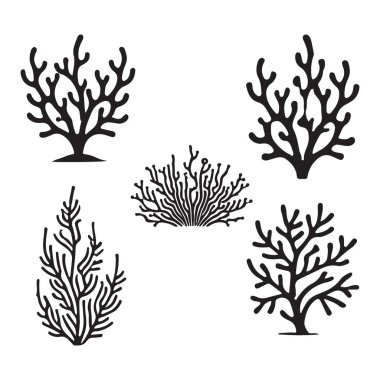 Siyah Mercan Şube Siluet Resimlerinin Koleksiyonu