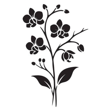 Sanatsal Çalışmalar İçin Minimalist Siluet Orkidesi Kök Vektör Tasarım Elemanı
