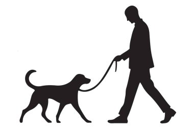 Evcil Hayvanlar İçin Köpek Tasmasını Yürüten Adamın Silueti