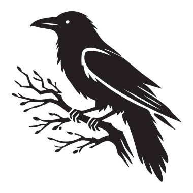 Raven Silueti Bir Daldaki Bir Kuşun Vektör İllüstrasyonu