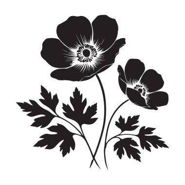 Anemone Çiçeği Silüeti Vektör Sanat Grafik Tasarım Çizimi