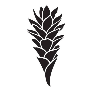 Kızıl Çiçek Botanik Çizimi Egzotik Bitki Silueti Siyah Renk