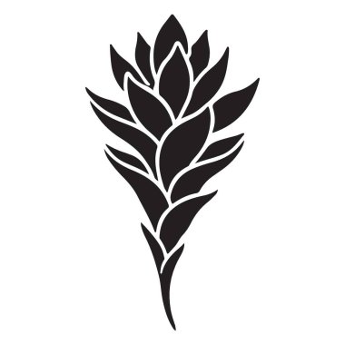 Zencefil çiçeği minimalist botanik siluet tasviri Zarif bitki resmi