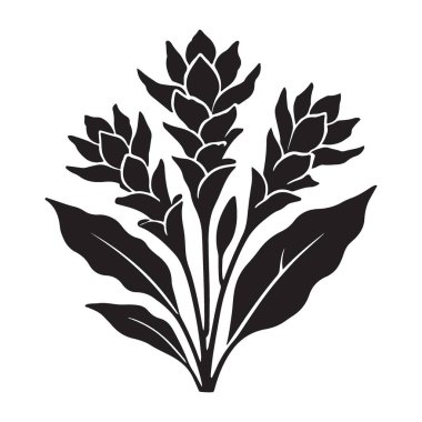 Yapraklı Üç Ginger Çiçeği Botanik Düzenleme Vektörü Grafiği