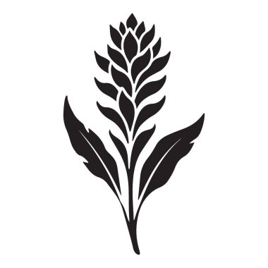 Basit Estetik İçin Minimalist Zerdeçal Çiçek Tasarım Vektörü Grafiği