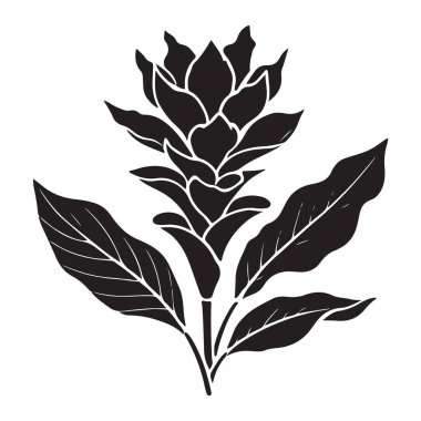 Sanatsal Zerdeçal Çiçek Bitkisi Vektörü Grafik Tasarım Elemanı Dekorasyonu