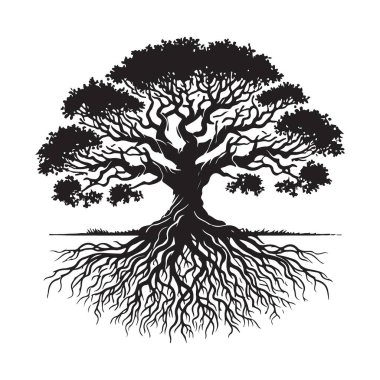 Muhteşem Ağaç Detaylı Vektör Kökleri Sistem Resmetme Tasarımı