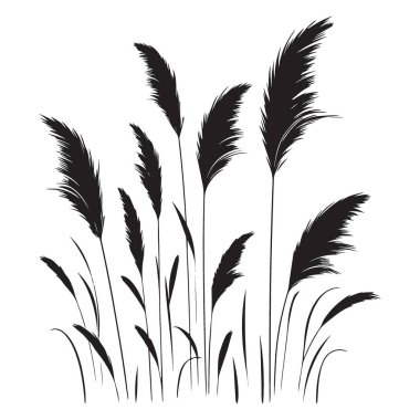 Zarif Pampas Çim Vektörü Silueti Dekoratif Çizim Tasarımı
