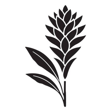 Yaprak Vektörü Silueti Çizim Tasarımı ile Egzotik Çiçek