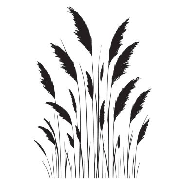 Pampas Çimeni Vektör Silueti Dekoratif Grafik Tasarımı